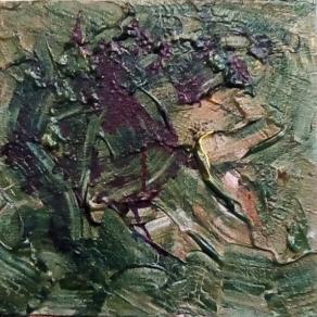 Ombre sui campanili.