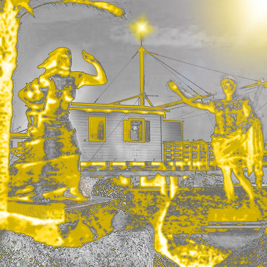 Eri una foglia che non sapeva di essere parte di un albero...!!!