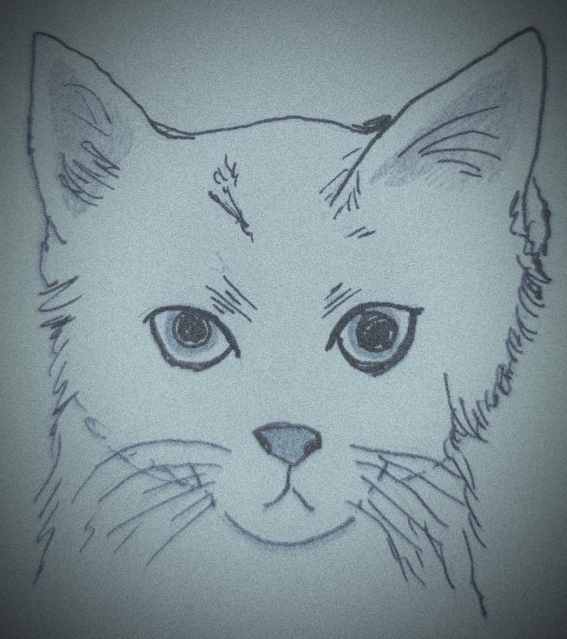 Matita e fantasia 127