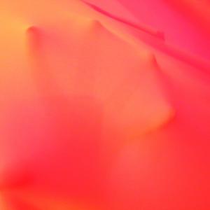 PREMIAZIONE 7°Edizione CONCORSO GLOBALART INTERNATIONAL ART IL RITRATTO