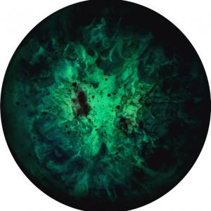 Enrico Magnani, Searching the Unknown. The Dark Matter Collection