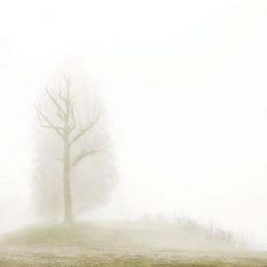 Riccardo Varini - A Po