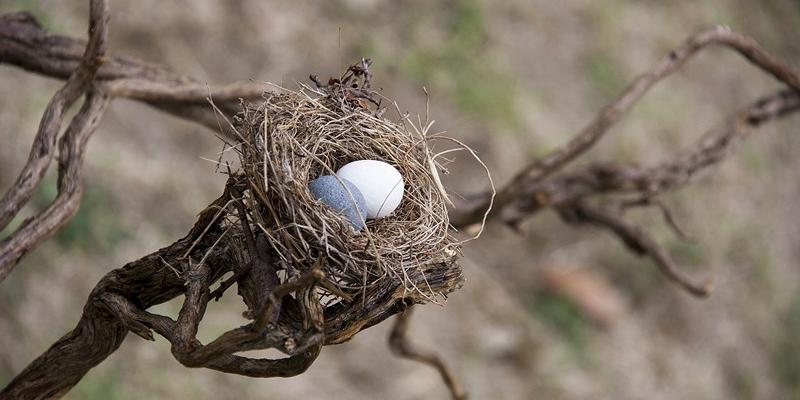 Andrea Giovannini e Angelo Zani