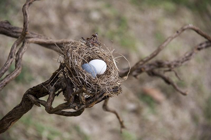 Andrea Giovannini e Angelo Zani