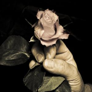 Soqquadro partecipa a CATS