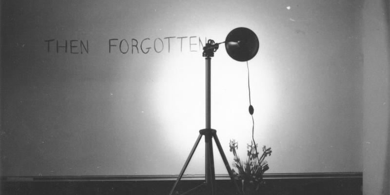 'Status', mostra a cura di Noa Giniger 'Status', mostra a cura di Noa Giniger