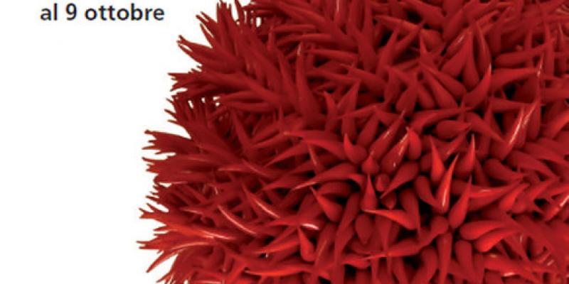 Ar(t)cevia- International Art Festival