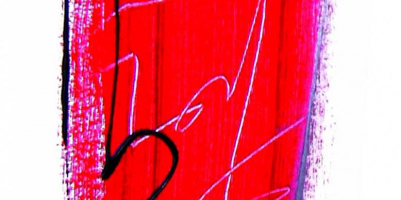 EnoArte - La pittura di Rosy Losito EnoArte - La pittura di Rosy Losito