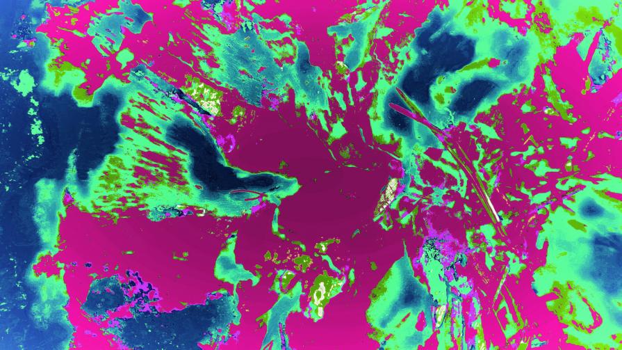 Assorbitore di Realtà