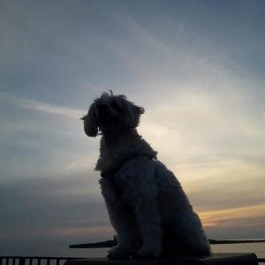 Dalla Terra alla Luna, Giovanni Romano