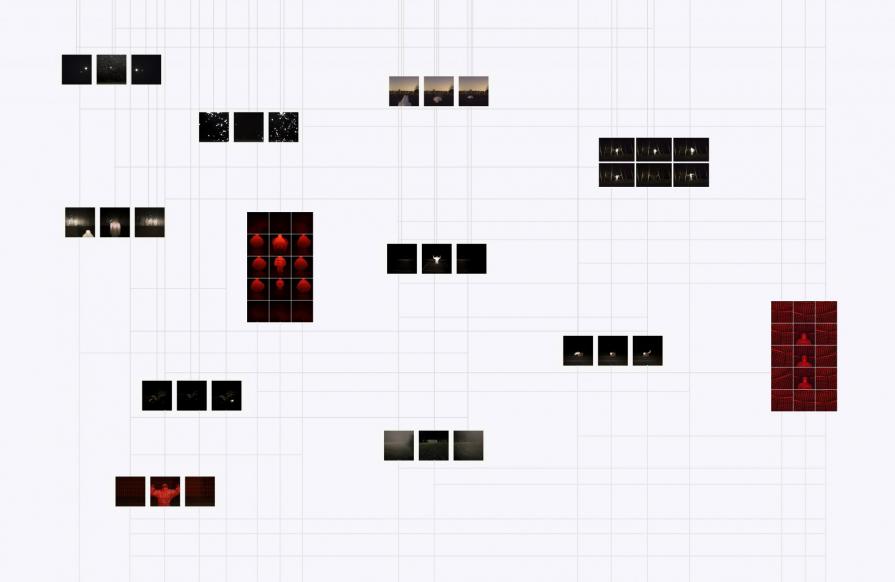 The Age of the wingless whiteflies part I The Age of the wingless whiteflies part I