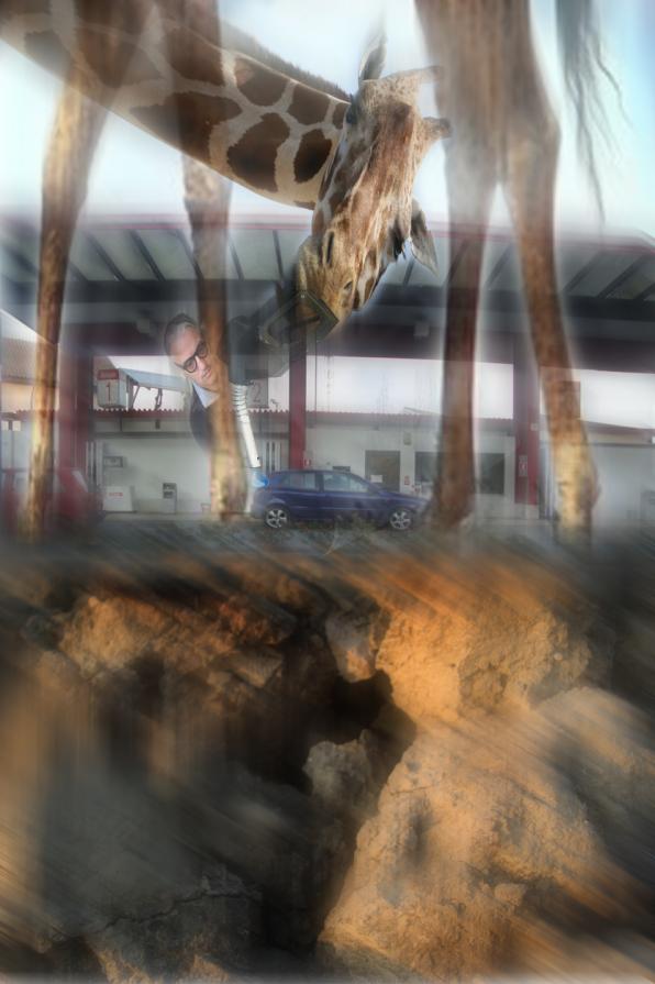 mi faccia il pieno..