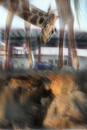 mi faccia il pieno..