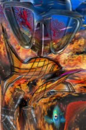 ma che spettacolo vedo  sott'acqua.....