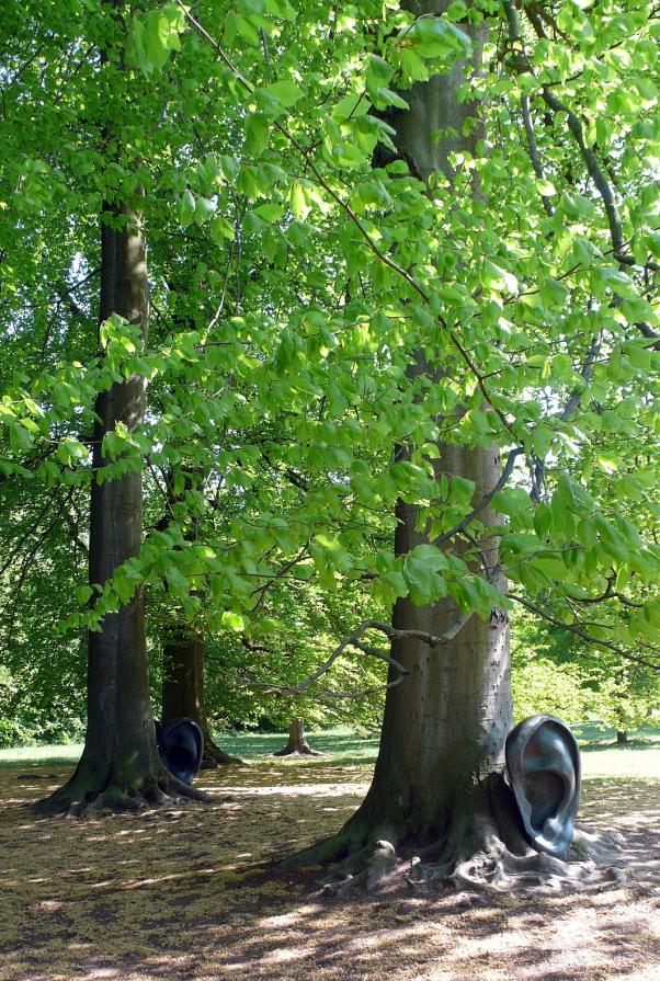Silence... la forêt vous espionne !