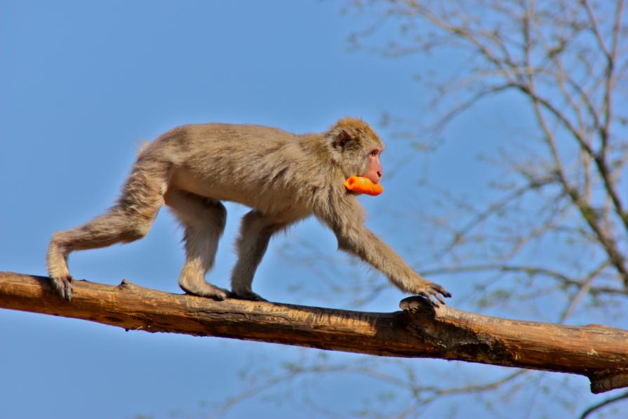 LA SOTTILE LINEA...THE THIN LINE