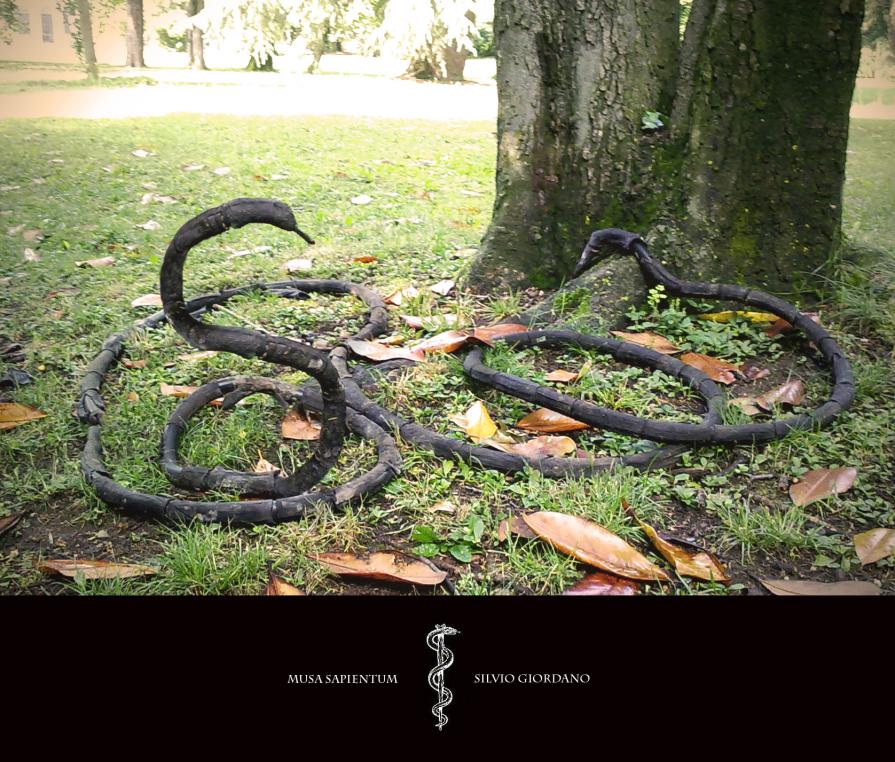 MUSA SAPIENTUM II MUSA SAPIENTUM II