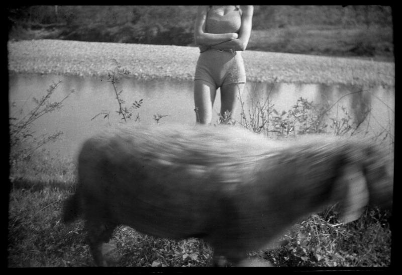 Lucio, Yellowbox e le fotografie ritrovate