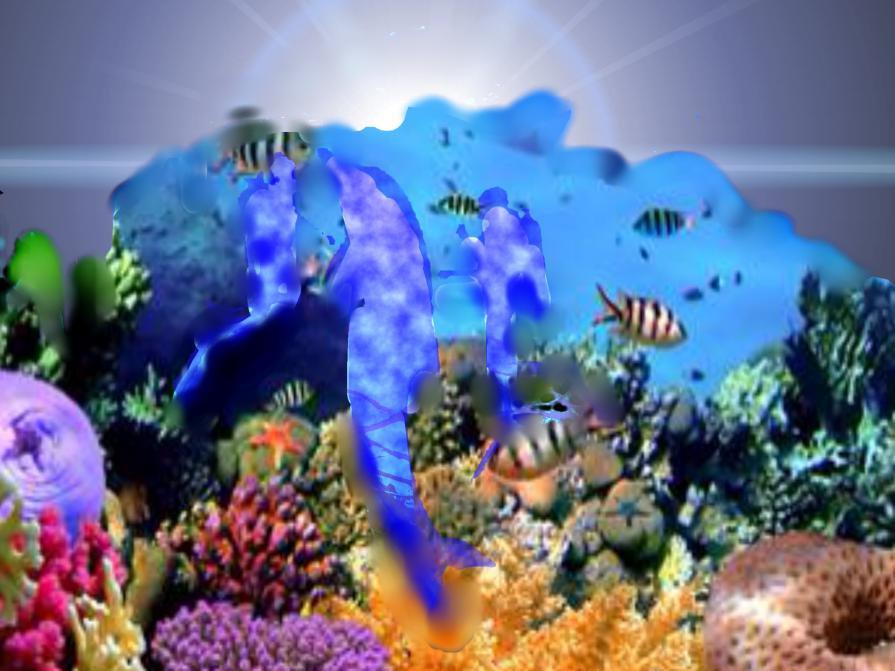 ...L'AMORE NON SI VEDE IN UN LUOGO E NON SI VEDE CON GLI OCCHI...!!!