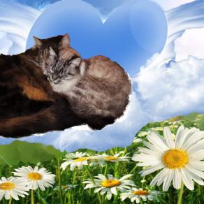 ...SEI L'ATTIMO CHE NON VORREI CHE FINISSE MAI....." PER SEMPRE INSIEME "...!!!