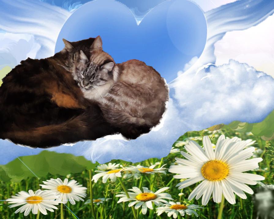 ...SEI L'ATTIMO CHE NON VORREI CHE FINISSE MAI....." PER SEMPRE INSIEME "...!!!