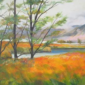 i canneti di Mergozzo