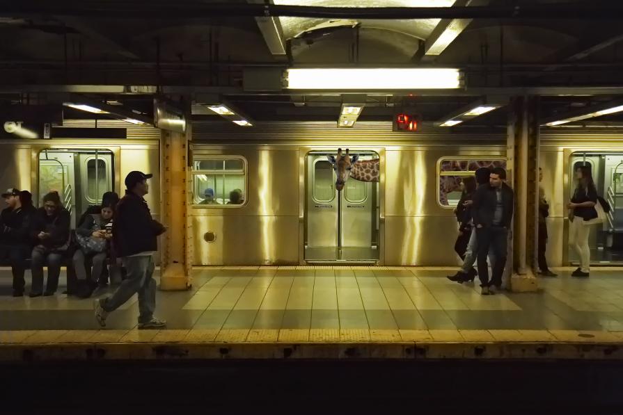 Riding The New York Subway