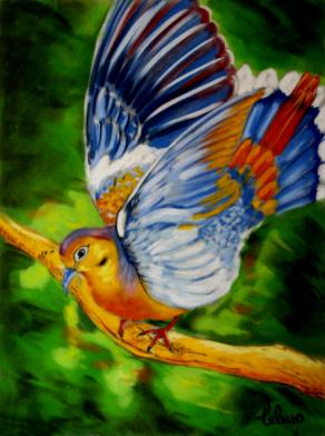 UCCELLINO VARIOPINTO