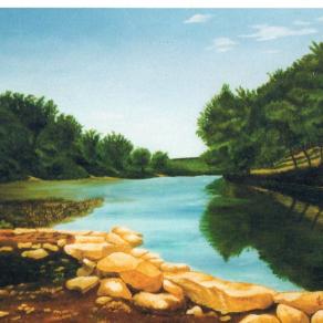 LG 0137 - Un'ansa del fiume Guadalupe - U.S.A.