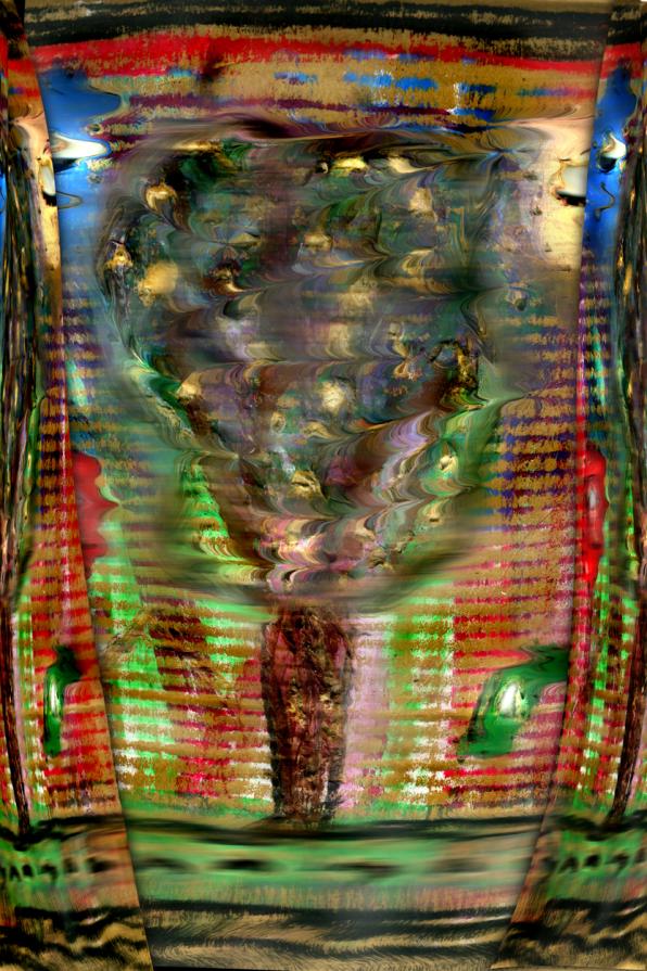 una brezza al di la della mia finestra muove la pianta di fronte alla mia casa.