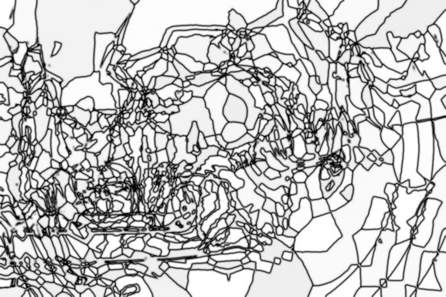 Ogni giorno si perpetua una nuova Shoah 