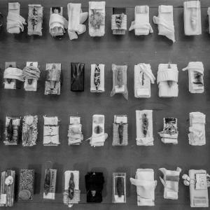 foto di Pasquale Modica foto di Pasquale Modica