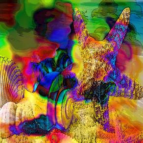 Le conchiglie sulla sabbia tiepida !!!