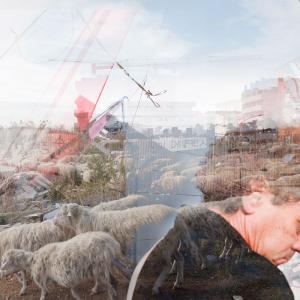 from the series "Horizon" from the series