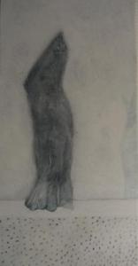 luc de vos - a cosmic detail of compassing