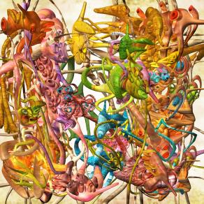 Imaginary Echo Chamber