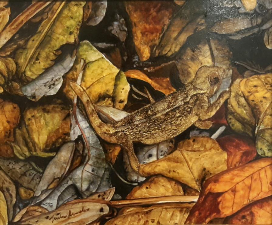 Mimeis " Camaleonte di Elliot"