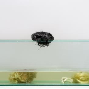 Still Remains Still Remains