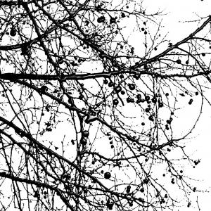 Cicatrici nel cielo7, SC-art Cicatrici nel cielo7, SC-art