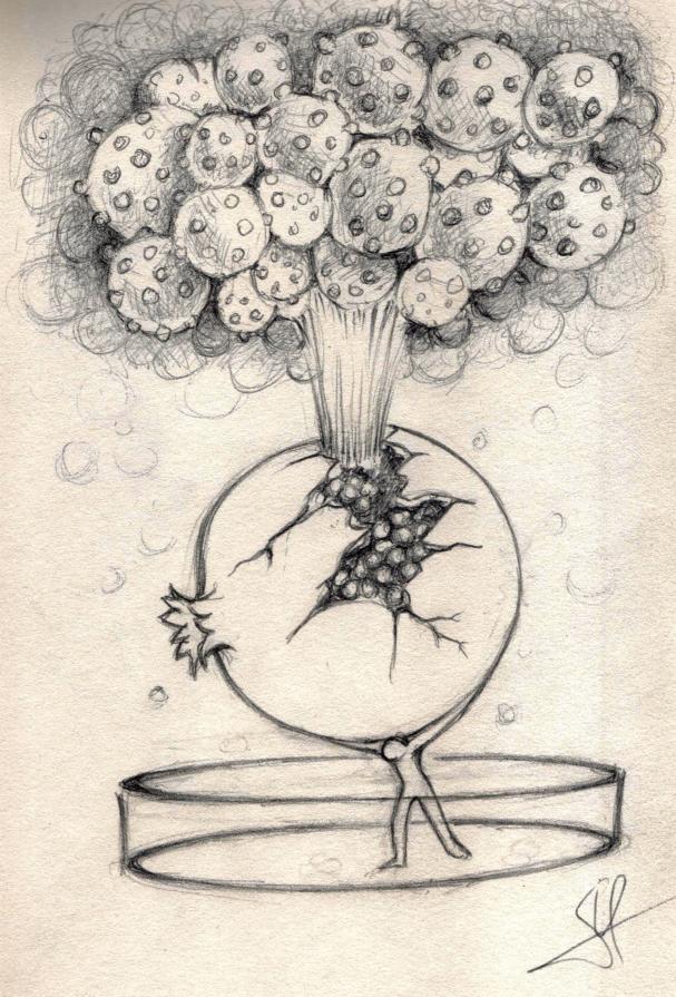 Nefasto esperimento Nefasto esperimento