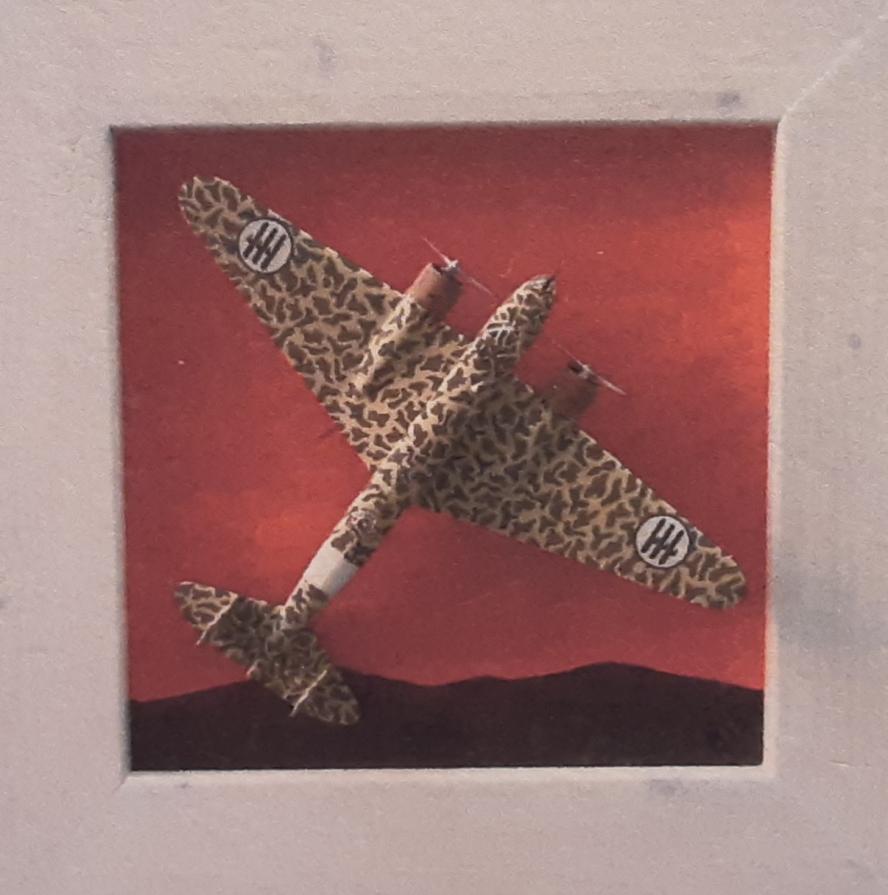 Fiat B.R. 20 " Cicogna "  - 1939