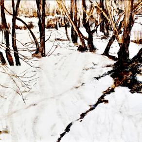 silent as melting snow