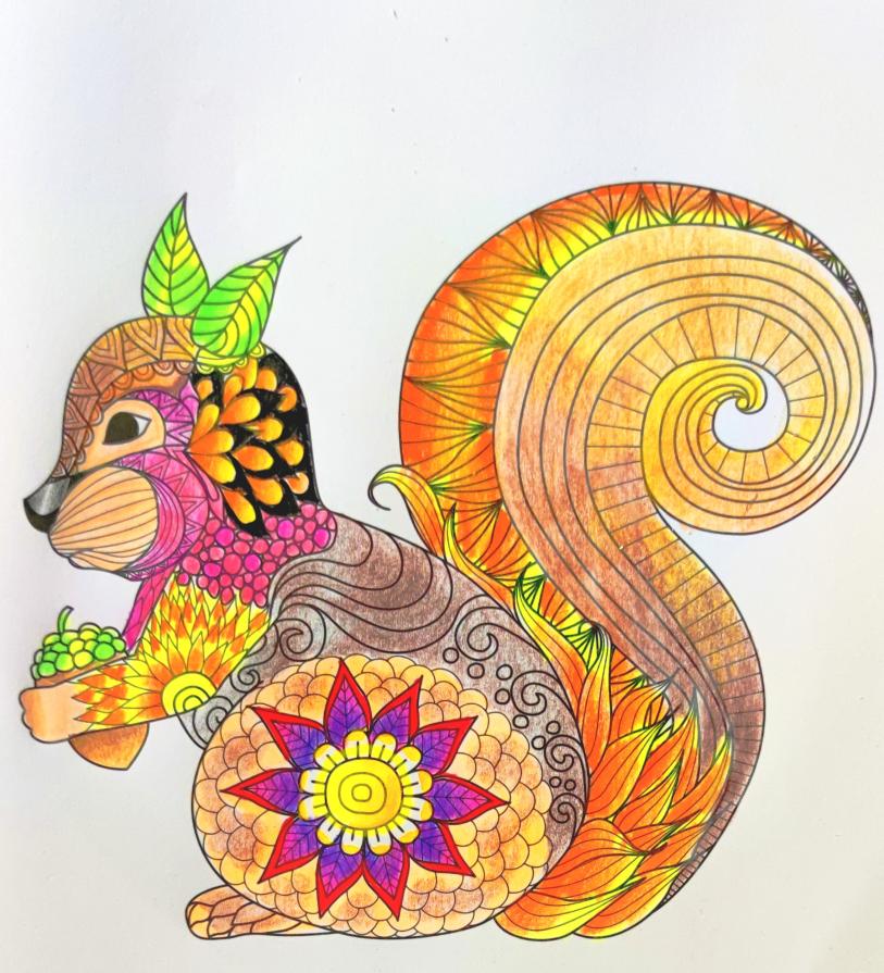 Dalle cime degli alberi una danza leggera per la vita che non si ferma mai