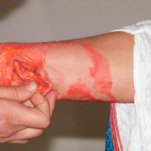 "Patriarchal family in the limelight" "Patriarchal family in the limelight"