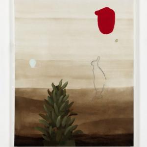 Mirko Baricchi. Humus