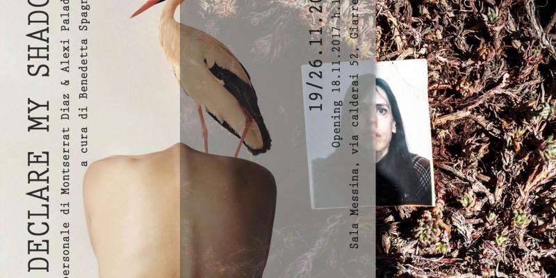 I Declare My Shadow I Declare My Shadow