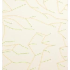 Claudio Gaddini, Lucide trasparenze