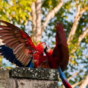 Honduras. limiti Honduras. limiti