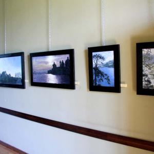Natura:Luci e Ombre a Modena.