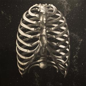 Omar Galliani. Il corpo del disegno